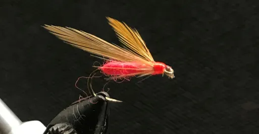 Fly