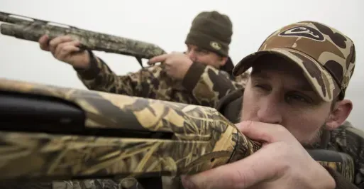 Waterfowl