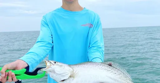 Seatrout