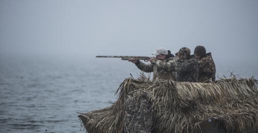 Waterfowling