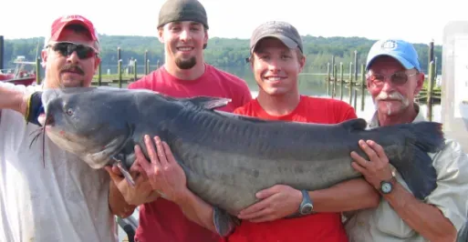State record catfish