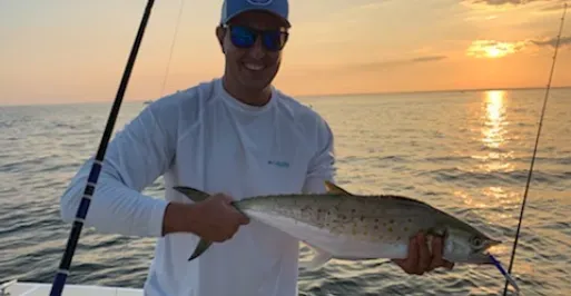 spanish mackerel