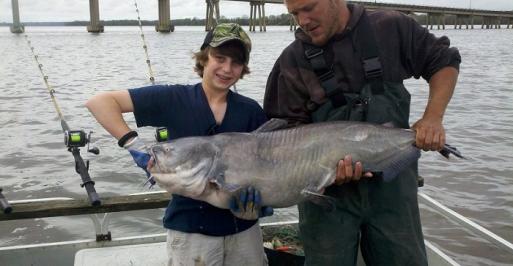 Catfishing in Maryland