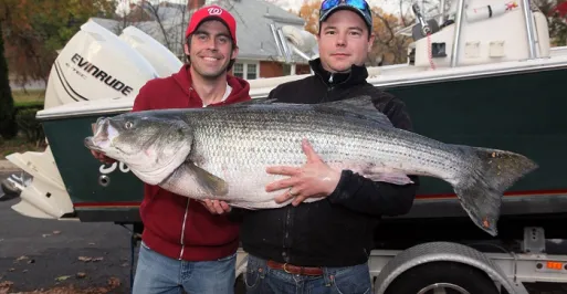 Sport Fish