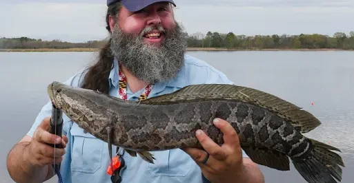 Fisherman holding a northern snakehead