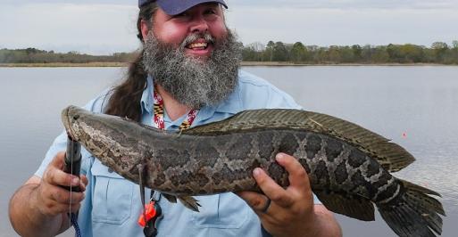 Fisherman holding a northern snakehead