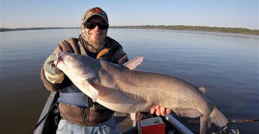 Blue Catfish