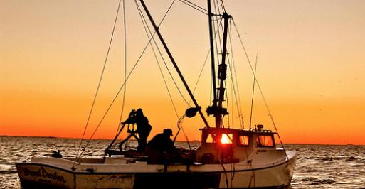 Fishing boat on the water during sunset