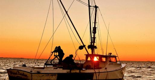 Fishing boat on the water during sunset