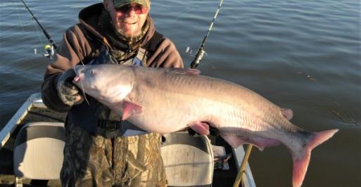 Fisherman holding a large blue catfish