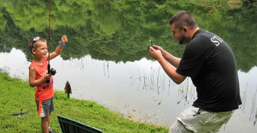 Bluegill
