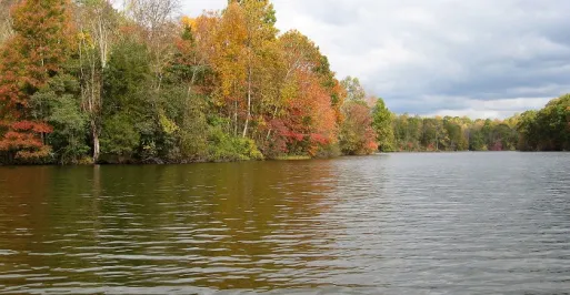 Lakes
