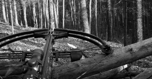 Crossbows