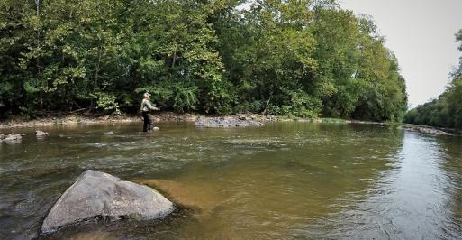 Discovering Maryland's Small Streams