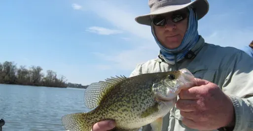 Tidal Crappies
