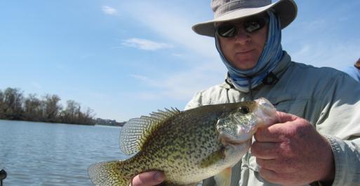 Tidal Crappies
