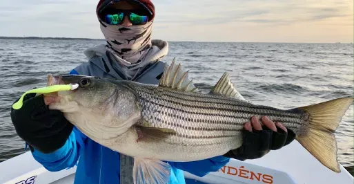Fisherman in winter gear holding a large rockfish