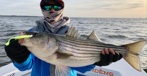 Fisherman in winter gear holding a large rockfish