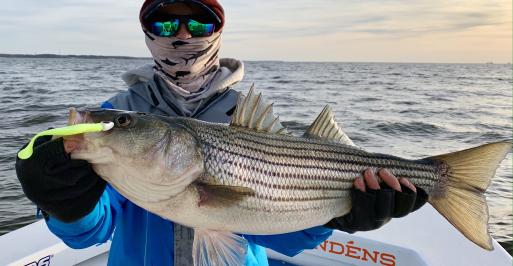 Fisherman in winter gear holding a large rockfish