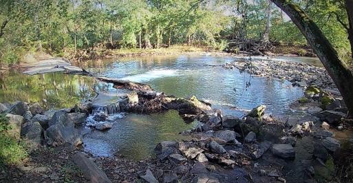 Maryland Small Stream