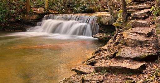 Small waterfall in the woods