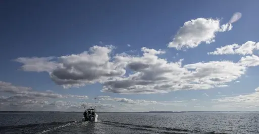 Rcokfish Charters