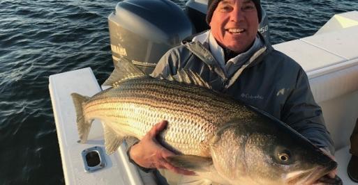 Rockfish Season