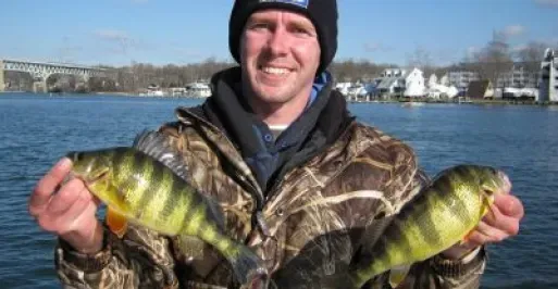 Fisherman holding two yellow perch