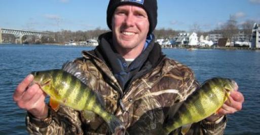 Fisherman holding two yellow perch