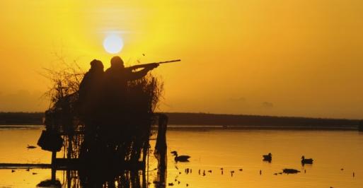 Two ducks hunters during sunset