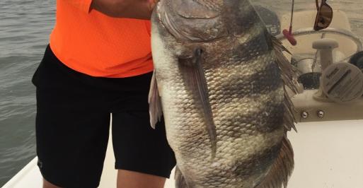 Sykesville resident Robert Martin holding an 18-pound sheepshead