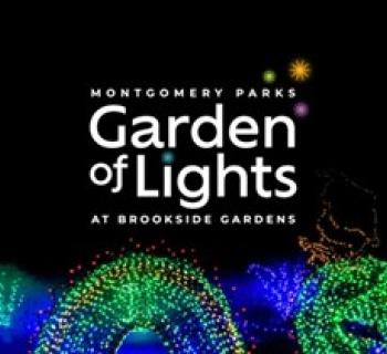 Garden of Lights Photo