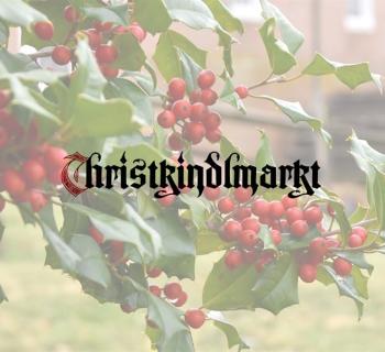 A title in German typeface across holly berries on a historic site. Photo