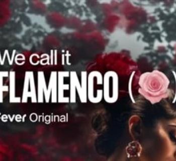 We call it Flamenco: A Sensational Spanish Dance Show Photo