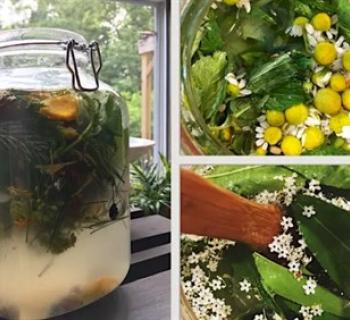 Gain hands-on experience with simple fermentation techniques! Photo