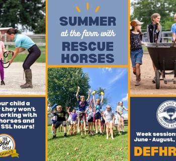 Camp ad Photo