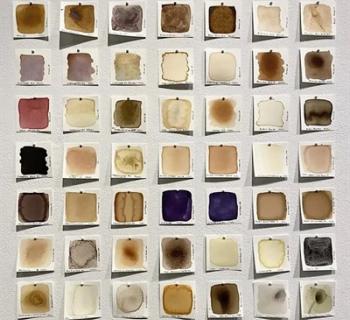 Delve into historical and contemporary methods of making inks with plants foraged from the farm Photo