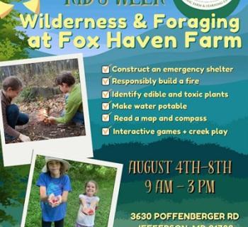 Children flourish when they step into nature, where every trail & sparkling creek inspires wonder Photo