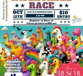 The Great Inflatable Race Photo