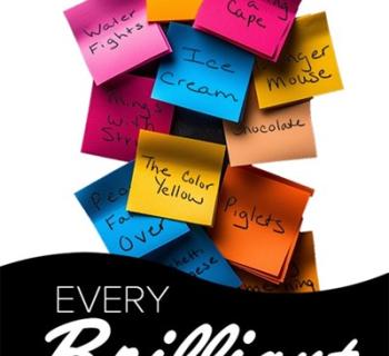 Every Brilliant Thing Photo