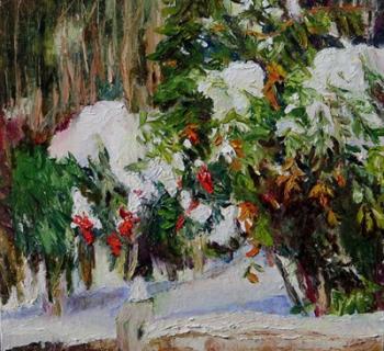 Snowbound by Jeanne Powell Photo