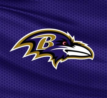 Baltimore Ravens Photo