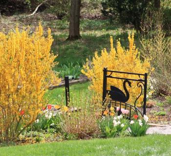Cutting Garden at Ladew Topiary Gardens  Photo