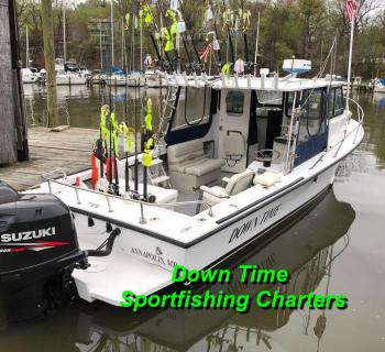 Down Time sportsfishing Charters Photo