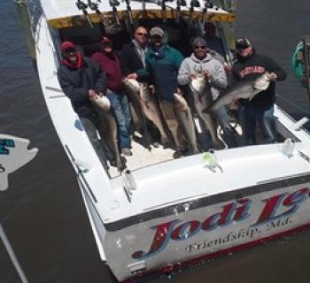 Picture of fishing party holding up their catch of Rockfish aboard the Jodi Lee Photo