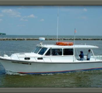 "Beachcomber II" Photo