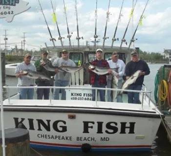 King Fish Photo