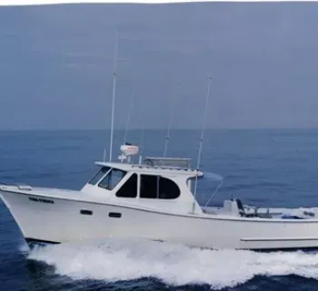"Fish Finder" Photo