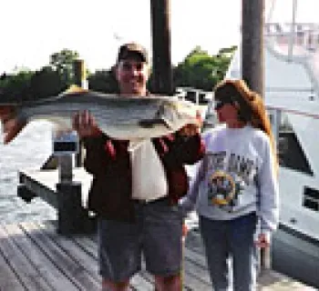 PJJ charters Photo