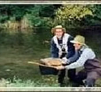 Trout About Photo